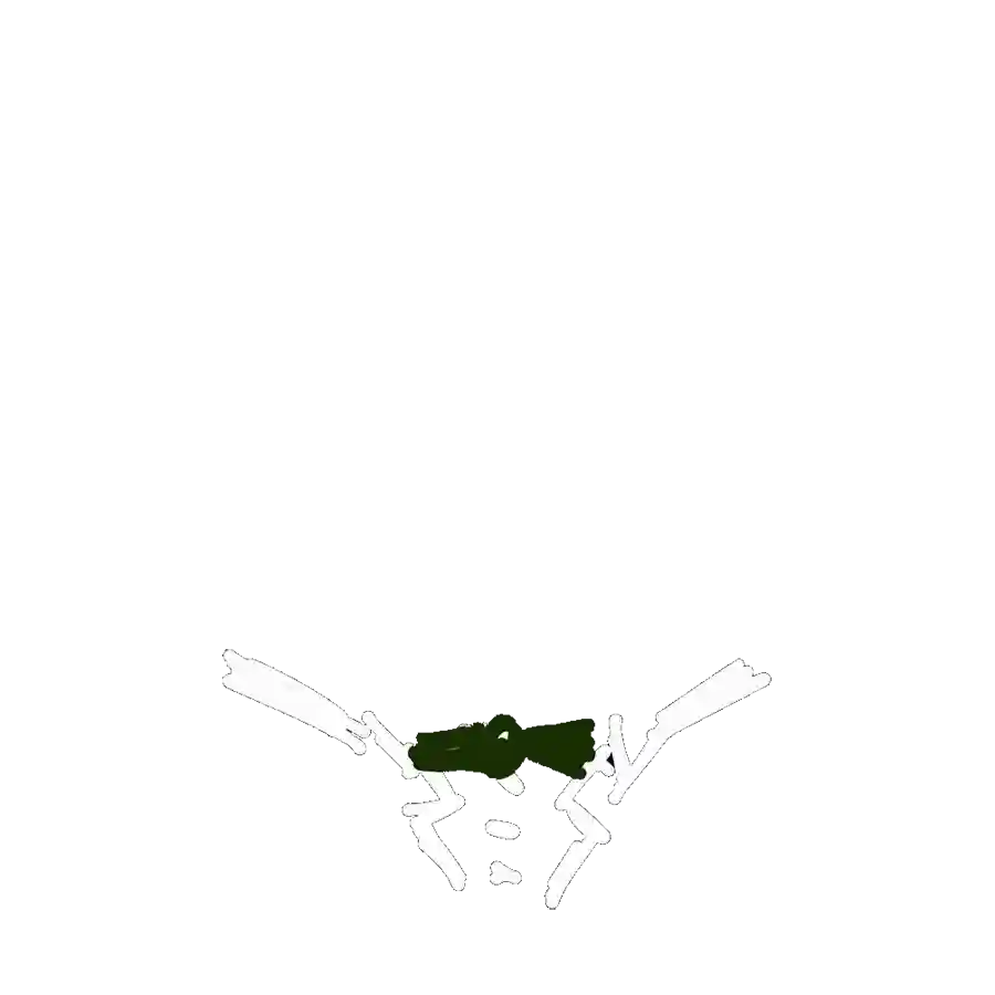 inscription 00000d3248d04e268601e8ea769c4b0c93623aca7299cadecd2d56e712706e69i23