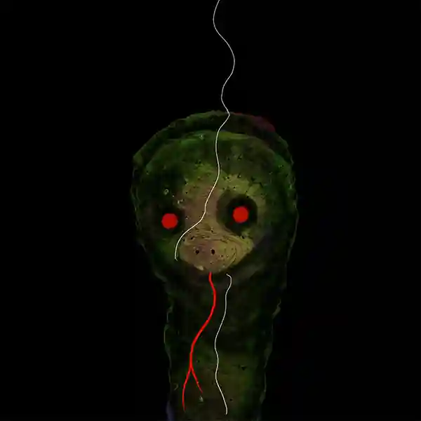 inscription 039b947e6d8ccadf609fafe085d6e8da3a12117cea378cebfecf4ccea7ab7444i25