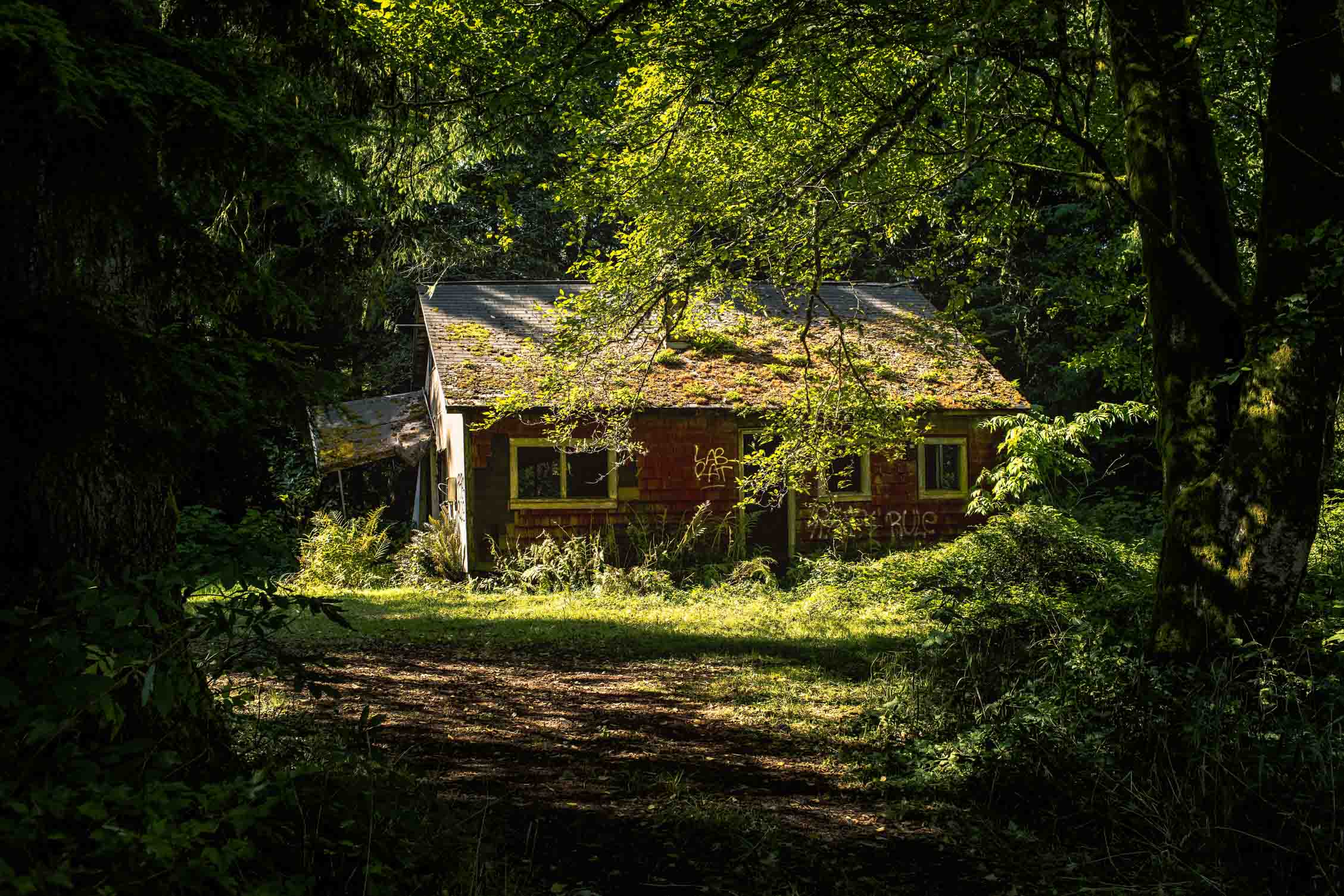 inscription 0fa7590bd44a8aae38034d41e794fbc03146a1260286c4c718f54e3582719d63i0