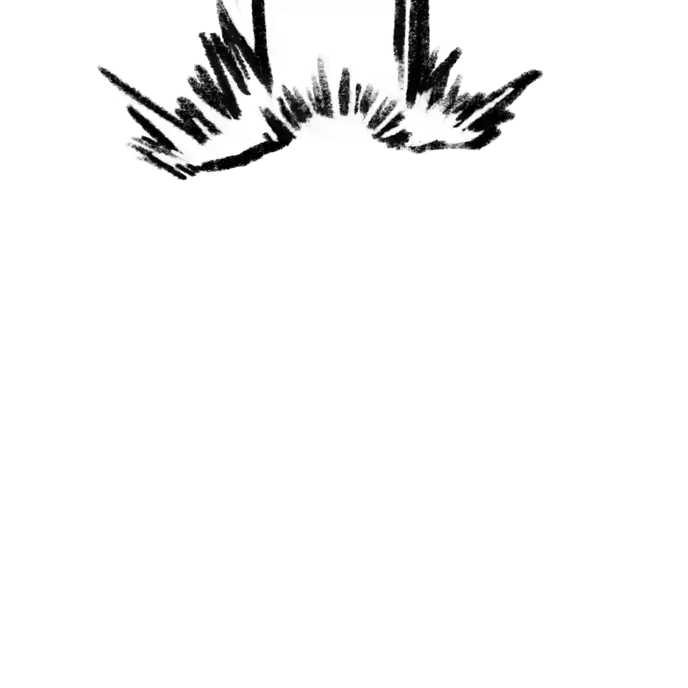 inscription 2e6ba7c99b653b44885a0bb2c9c352343f62e6b87352b321a229f1f16ba25e72i11