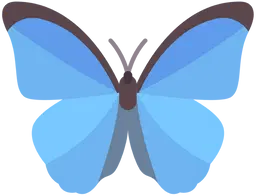 inscription 2fd36fec1138a96fa5f0c1c5cdf9a892166ef0fbbf50feab3e64ce2faa1d2edfi0