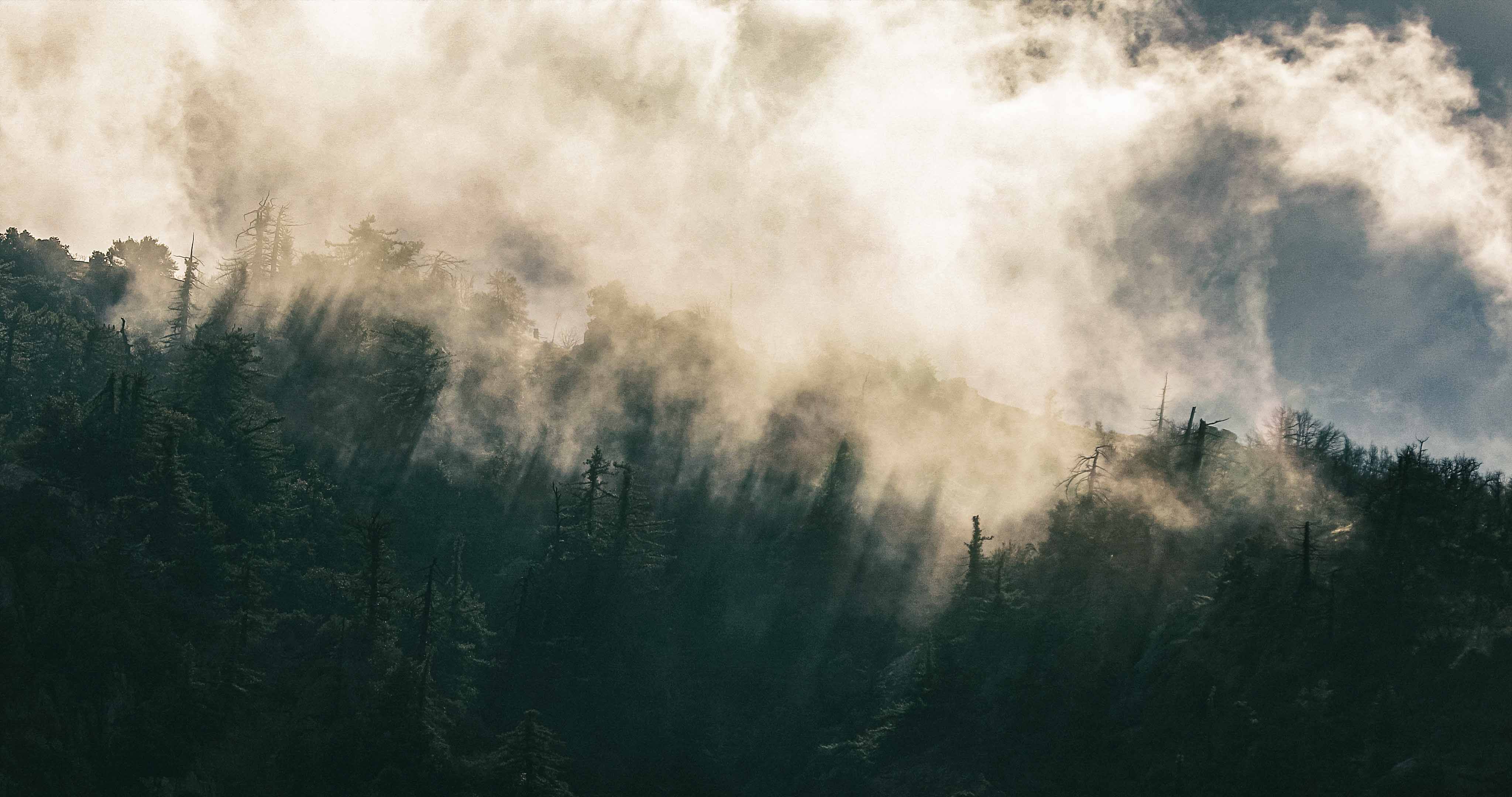 inscription 3d735f99527dfe79b6c382777437be6ae6beab459e7a5aa1369e20510c4fa7e3i0