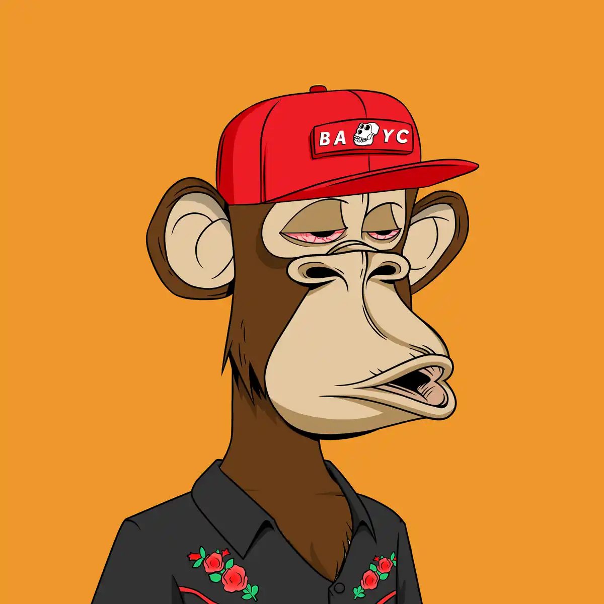 inscription 628d2a143657e7eafb5f76e367c5ba9c93ea6707670bc67ad87d45af48a9ef79i0