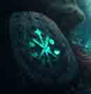 inscription 787d388628d3b152b5b4dde25841a09f4596de384ed03375ef68c260a5928e84i0