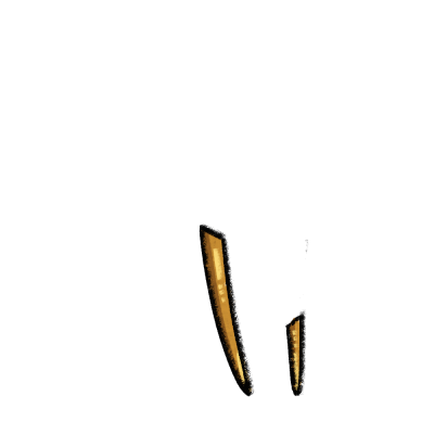 inscription 85b91ebb7f670e11acac28aae65e1124de6fb8e8542c70a578305a072fe4cc12i7