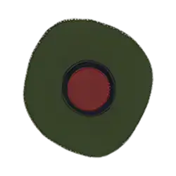 inscription 9e7790cb8f4787aa8057ae4d4db02d083dcdb780d1c957a217e32bbfed22185fi8