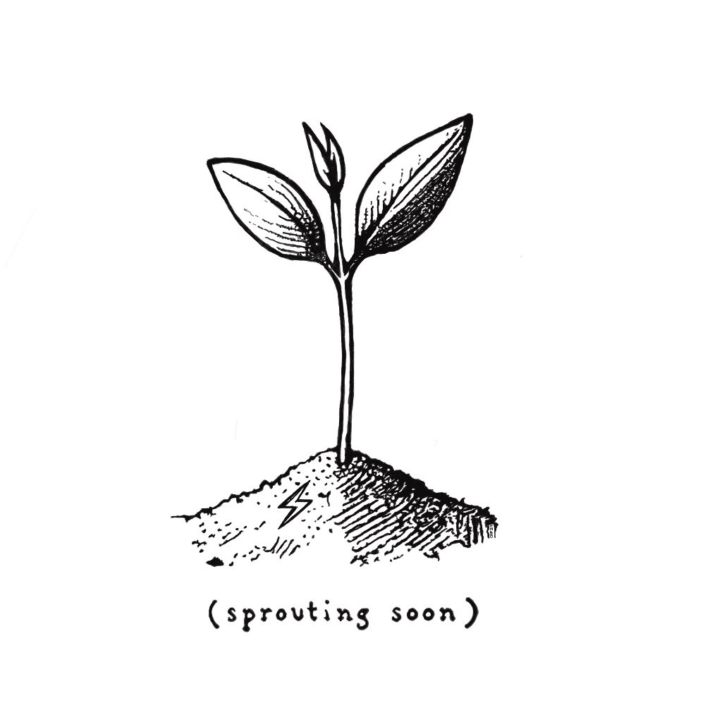 inscription a0969ab30af77d4b194527a5e1cf9459141fcf6355f93faf1bc21f94c23827c2i209