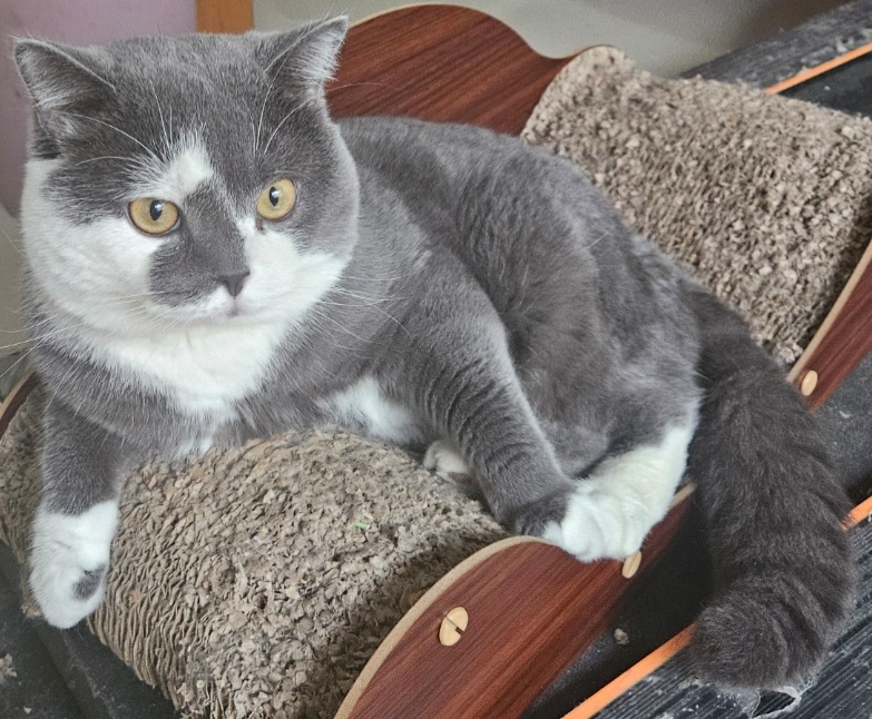 inscription b6470e35c2d23260f86fce95006500f5201d6cc104ac8564f5edca8b57b11d83i0