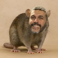 inscription c2f9a230c91e831a2c59de0f7581fe8c7597273746e639fddadcfbfc952e9bd6i0