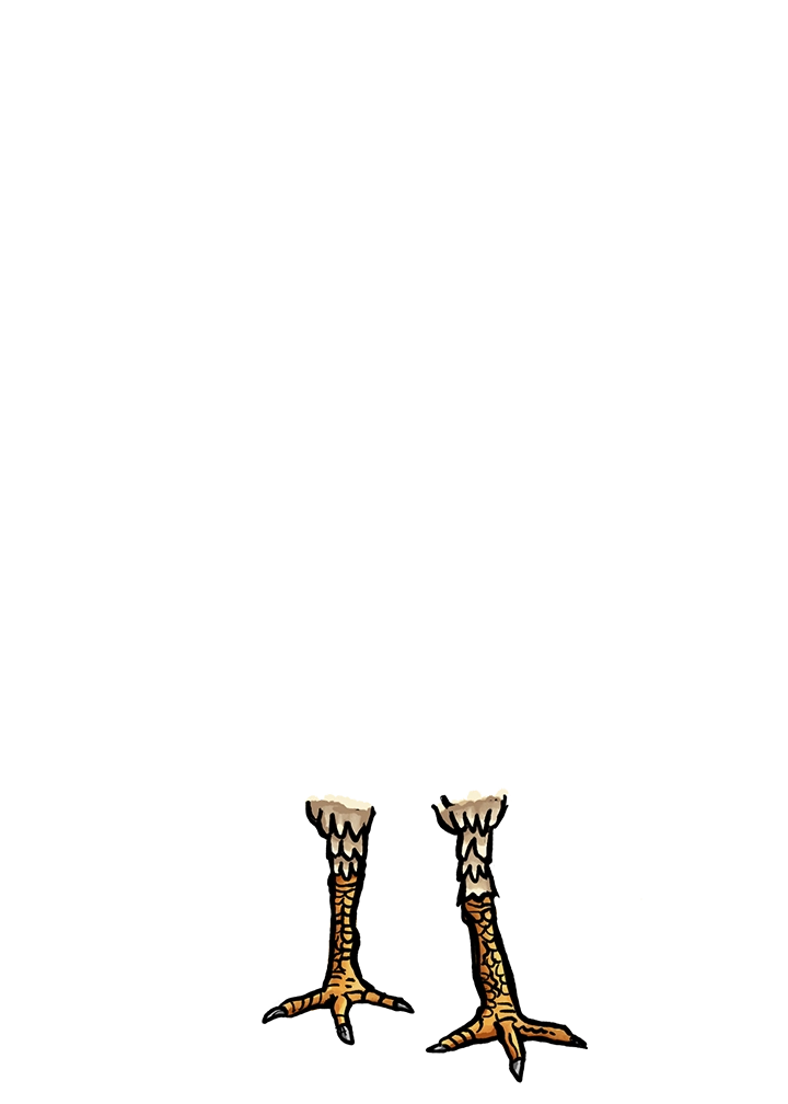 inscription c506c7161878cc1e22ca11adf671a74fc33c72d87df5771d7d1ea226a99770d1i5