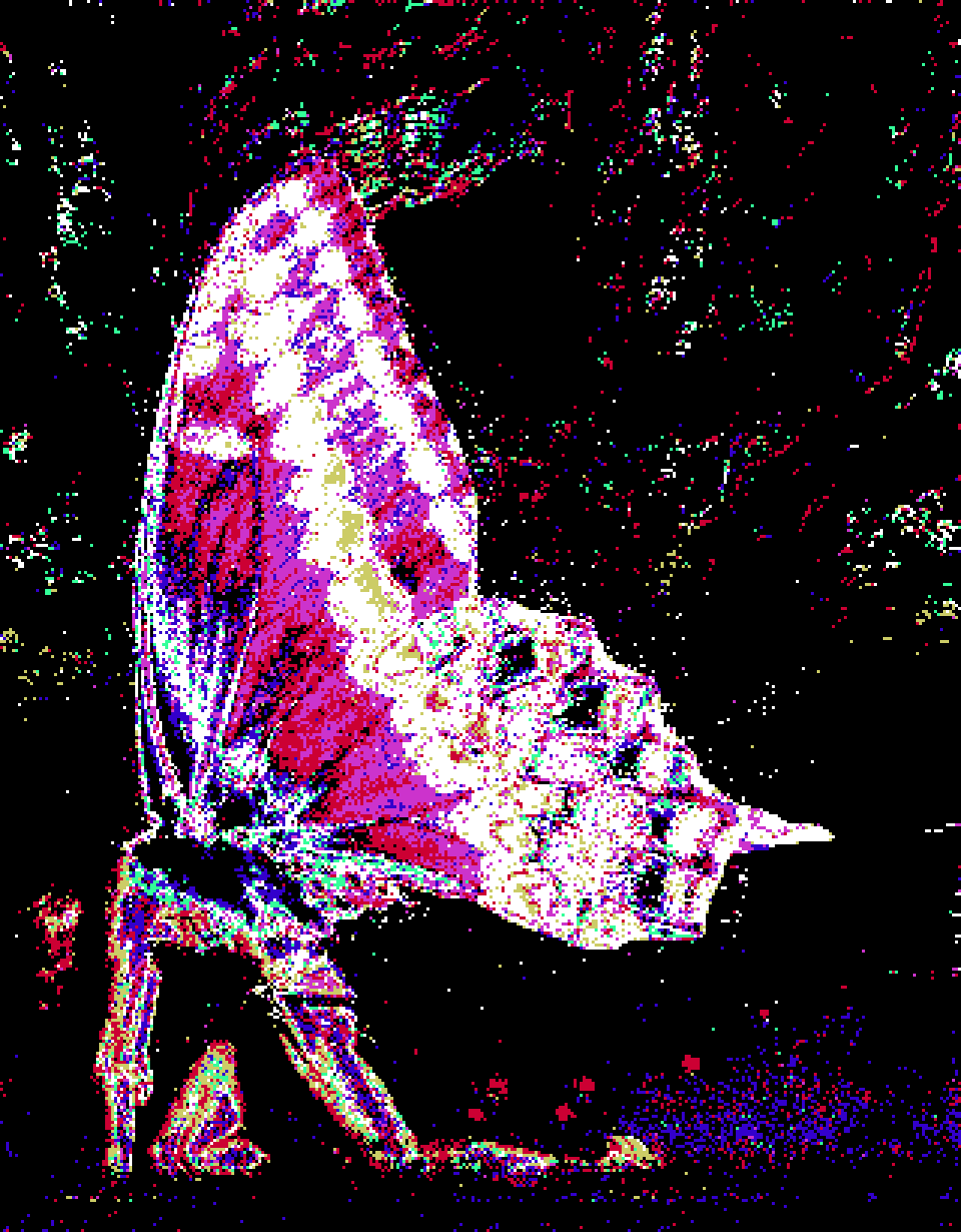 inscription d34b471960987fb3e49ccf3b13ba8bc2dce5b5a6aadd091398d8c5a41b7e61c0i0