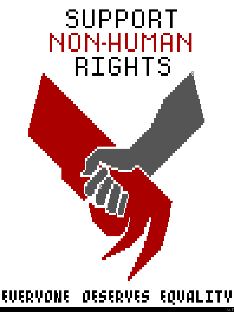 inscription df543b5ca59ea9eea446395a5955f92829290ee4db25be3d7b2c8ca80c397a97i0