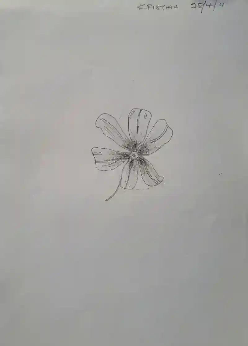 inscription e17b8abd3254d0450cef22a8c8d9a2eda05bf2020c28ff3b1fcfc7b9f97f4b8ei3