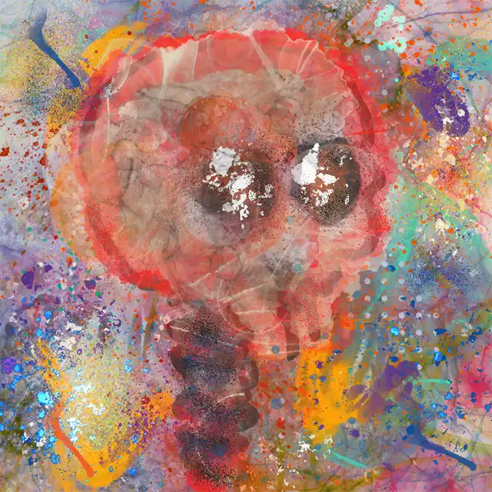 inscription e7cf6b568ae3352accfe7ddb76fbd1024df18d6024ed52536393e15521d279e2i8